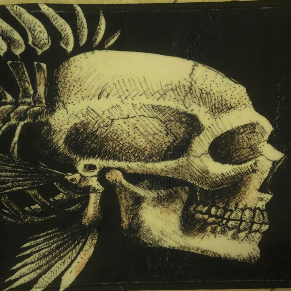 NWOT Skull Fish Bones Bath Mat